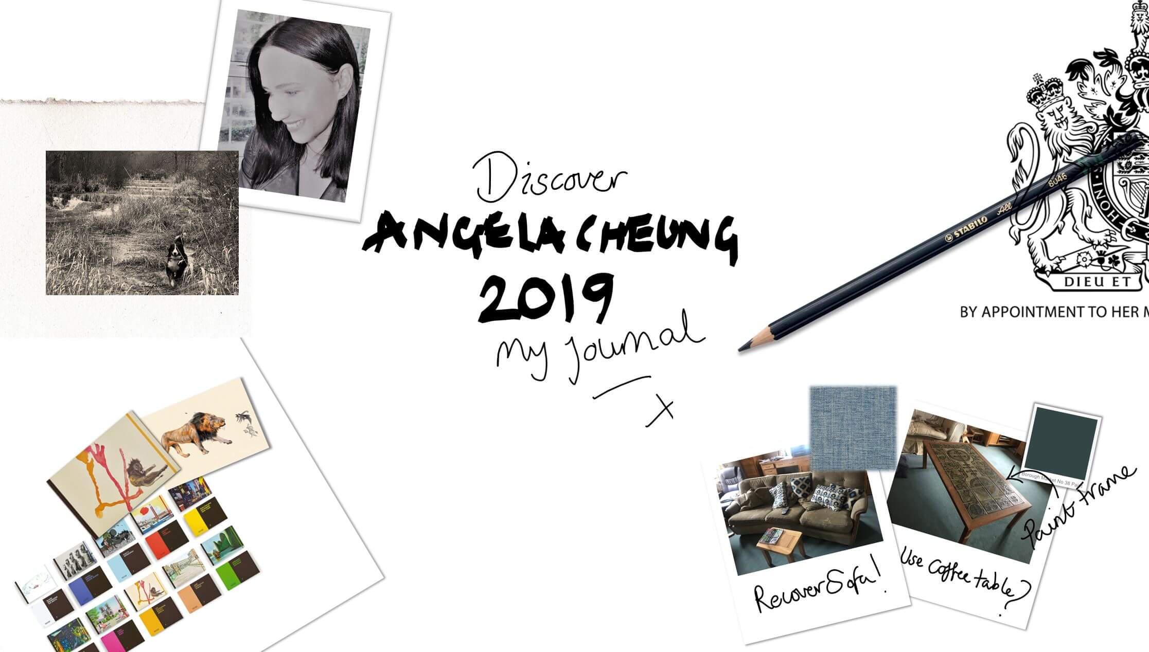 Collage of images from Angela Cheung 2019 journal